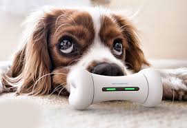 Tech para Pets